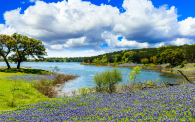 The Many Great Reasons to Live in Canyon Lake, Texas