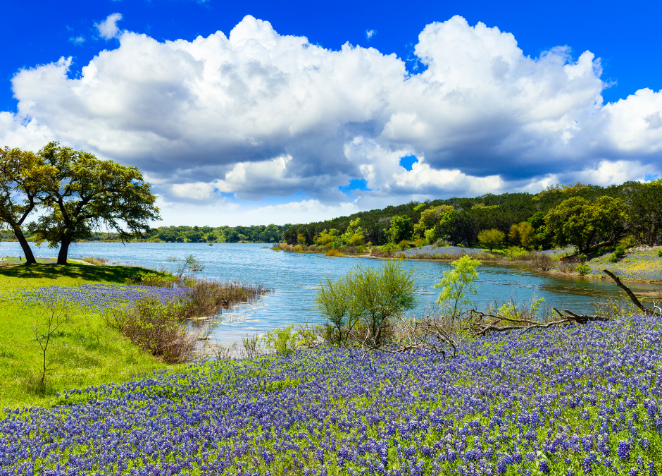 The Many Great Reasons to Live in Canyon Lake, Texas